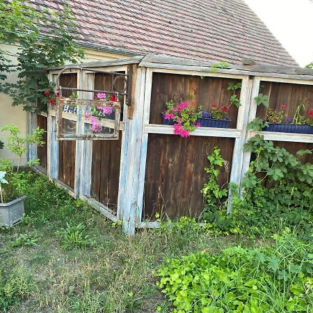 Ostsee Radlerpension Peitz Dış mekan fotoğraf