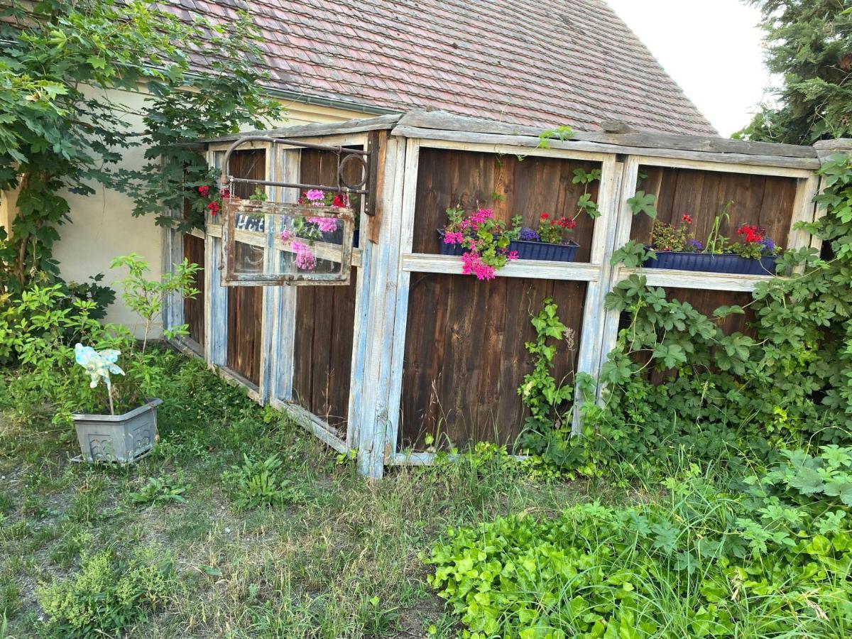 Ostsee Radlerpension Peitz Dış mekan fotoğraf